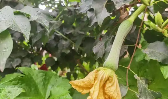 烹饪爱好者怎能错过？应季美食、高人气菜谱、互动社区，这款APP一站式满足你的下厨需求！