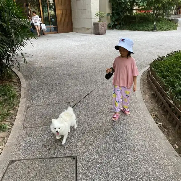 🔥攻略秘籍🔥猎人必看🔥怪物猎人荒野回归怪物弱点全攻略及捕猎技巧揭秘
