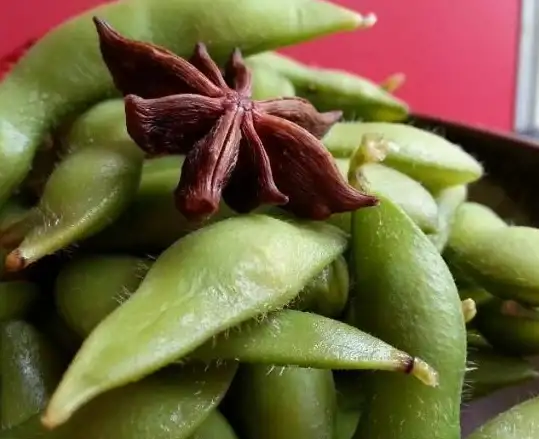 硬盘安装 固态硬盘入门指南：跟着小鱼一起动手，快速掌握固态硬盘安装技巧