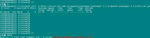 Apache运维 源码编译：如何在CentOS上安装Apache并高效管理Linux服务器日志