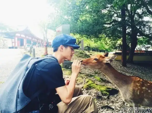 还在为旅行记录烦恼？试试小鹿旅行记，一键记录美好瞬间！