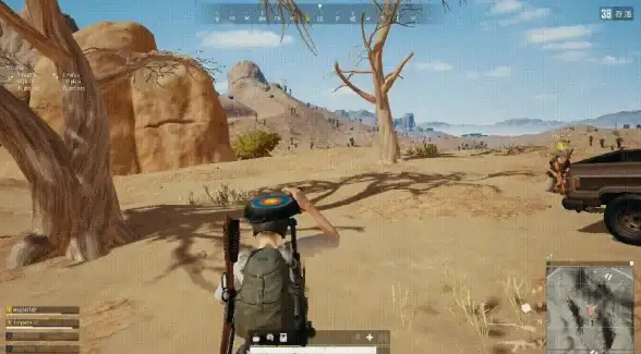 PUBG账号安全🔒升级到Win11后玩绝地求生是否存在风险？