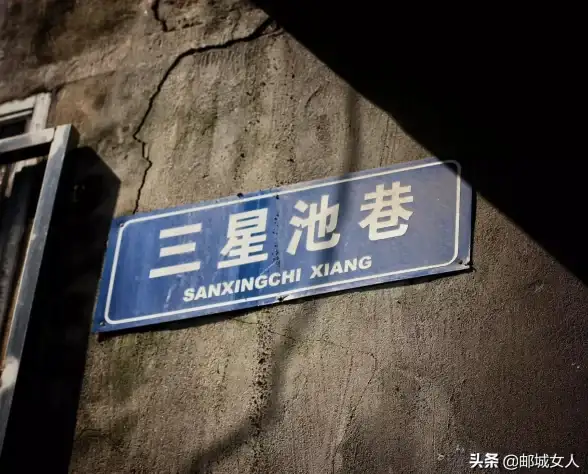 想一站式学习历史、文化与艺术？全知识APP满足你的所有需求！