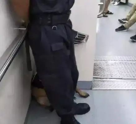 安全指南 紧急应对 地铁逃生卡如何巧妙匹配不同车门？