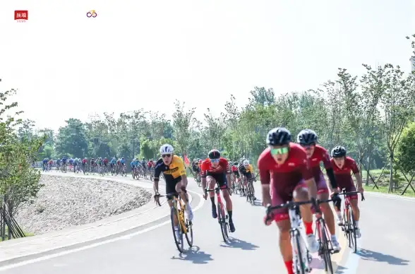 还在寻找专业的骑行数据记录软件？试试iGPSport吧！