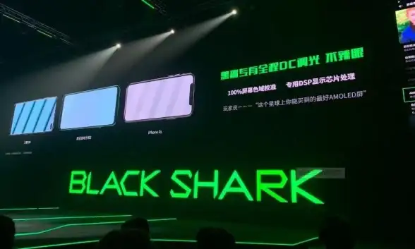 重装系统 黑屏处理 黑鲨一键重装遇到开机黑屏怎么办？实用处理技巧分享