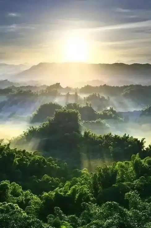 性能对比📱2024年手机处理器功耗天梯图全面分享