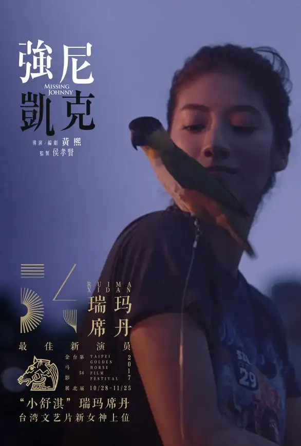 游戏攻略🔥DNF刺客高性价比鹦鹉推荐，最佳选择解析