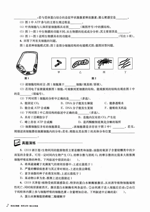 还在为高考备考发愁？这款笔记APP让你高效学习，轻松拿高分！