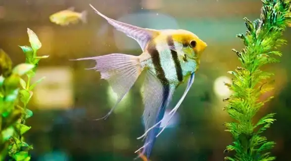 🔥创新应用⚡细节解析｜犯罪现场清洁工》海绵效果大揭秘！