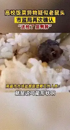 战争雷霆 坦克攻略 攻击技巧丨鼠式坦克黄金攻击位置推荐！