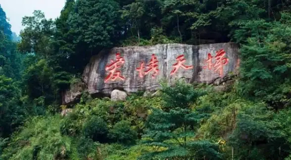 相机推荐📷照相机品牌天梯图大全视频，深度剖析热门品牌优缺点