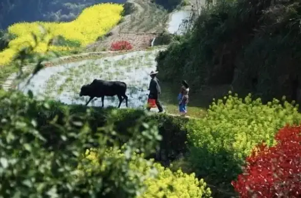 拍照神器📷手机相机排名天梯图：详尽对比助你发现最佳拍照手机