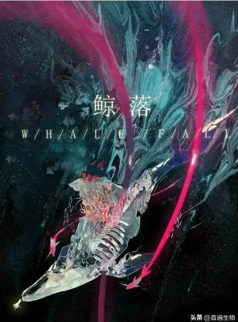 还在为找不到高清影视资源发愁？鲸鱼视频海量内容一点即看！