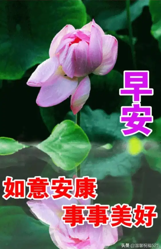 聊天只能发普通表情？试试这款APP，触发全屏动画让交流更有趣！