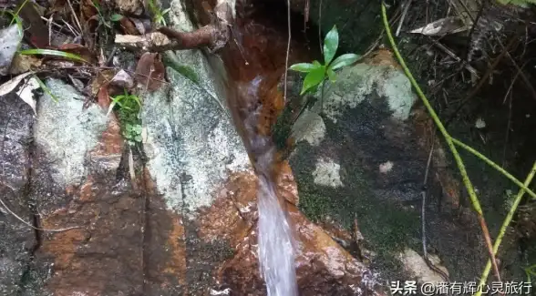 日常出行需要精确测量工具？GPS工具箱APP多功能服务一键搞定！