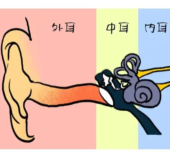 耳机 杂音频发困扰？这些实用方法帮你轻松解决