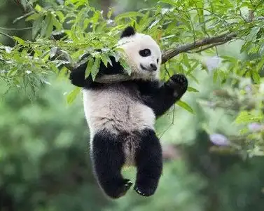 上下分屏补光太酷了！小猫补光灯APP如何让你拍照更出片？