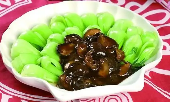 厨房小白也能变大厨？食用手册'教你用常见食材玩转花样菜谱！