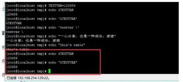 环境配置|变量管理 linux 环境变量—Linux 环境变量生效