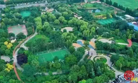 搜不到心仪的图片或网站？万象聚搜APP万能搜索神器帮你轻松搞定！