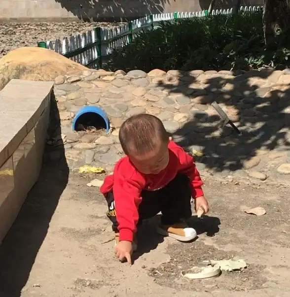 还在为宝宝辅食发愁？好宝宝辅食APP教你轻松制作科学营养餐！