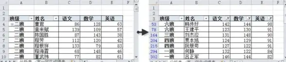数据处理 筛选技巧 深入解析Excel筛选功能，轻松玩转各类数据筛选