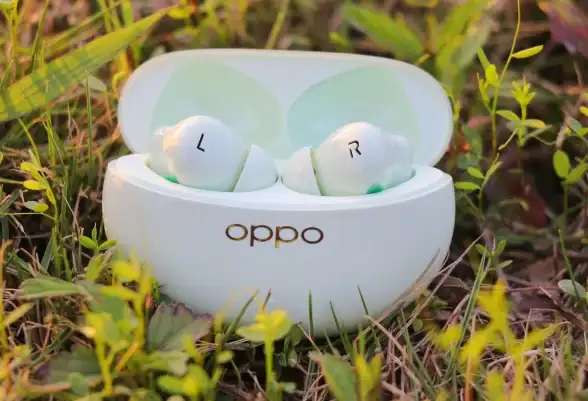 OPPO耳机升级太麻烦？欢律APP让你一键操作，电量状态一目了然！