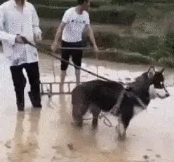 游戏弹琴太难？二哈自动弹琴APP让你秒变音乐大师！