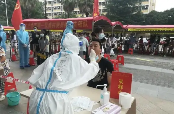 软件下载 gogo下载安全渠道推荐及安装教程