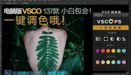 还在为修图烦恼？试试抠图P图秀，一键美化你的照片！
