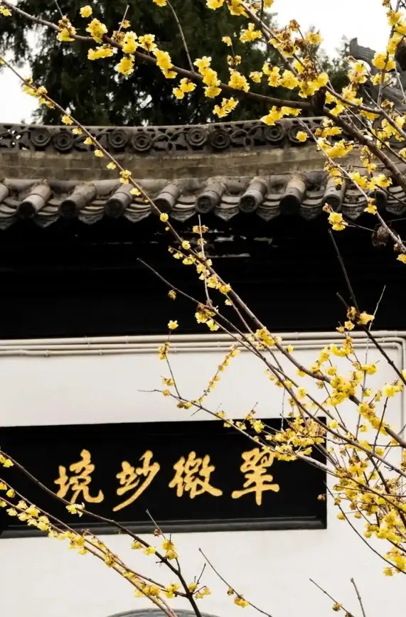 中医药✨传承秘诀✨文化精粹 本草归元录深度体验