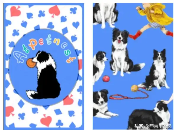 难道你不知道握爪APP是专为宠物主人打造的社交平台吗？