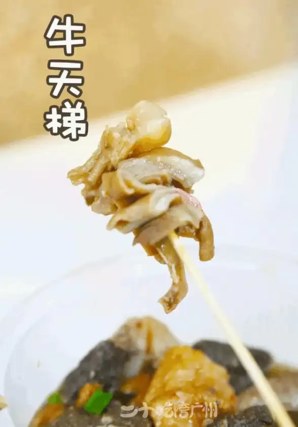 处理器对决 志强CPU vs 酷睿：性能天梯图全方位解析