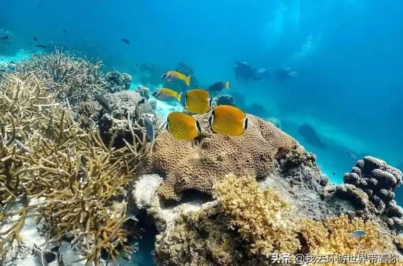 故障排查💻电脑自动关机怎么办？小鱼教你轻松定位原因与修复方法
