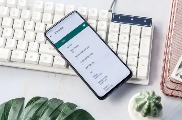 重要数据无处安放？何不试试vivo云服务APP，一键备份安全无忧？