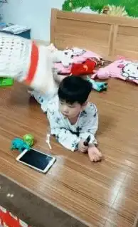 天赋·技巧🎭第五人格杂技演员最强搭配攻略详解