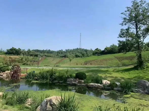 想体验音乐+电视的双重享受？闪电音乐APP支持换源播放，你的娱乐新选择！