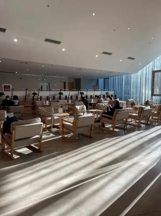 热门丨策略丨经典网络下棋游戏全攻略，2025年度必玩棋类大作揭秘！