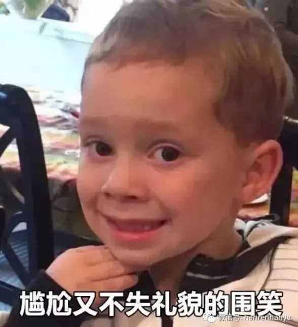 myoldboy模拟器汉化版—安卓街机怀旧神器，你确定不试试？