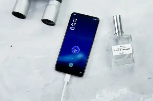手机排行 性能对比 OPPO手机处理器天梯图：快速了解各芯片性能排名