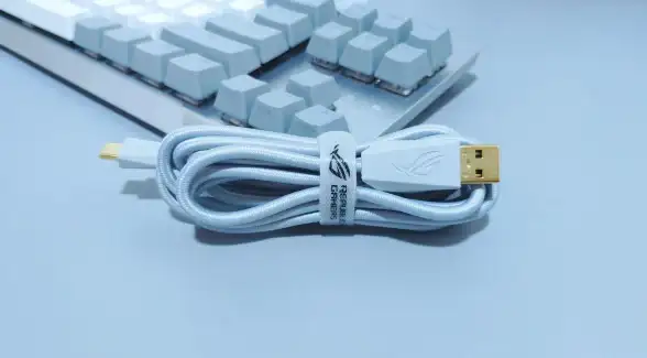 外设精选🎮机械键盘轴体特点与选购指南🔑