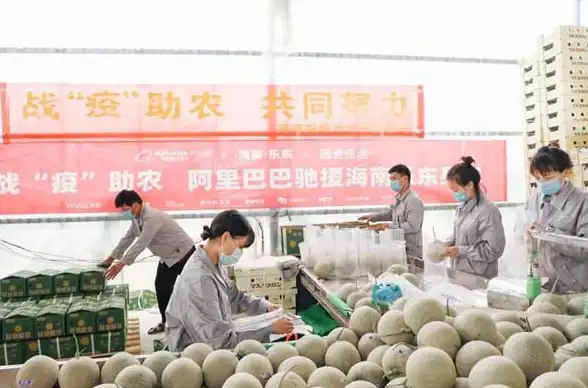 还在为直播资讯滞后烦恼？淘宝主播APP实时推送同行动态！