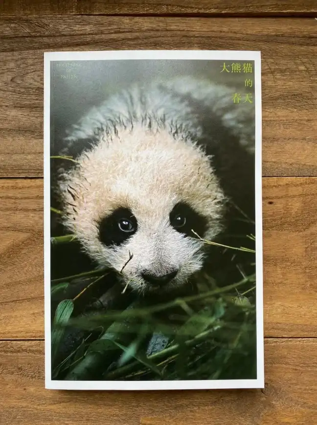 还在为找不到好书发愁？熊猫看书APP海量资源满足你的阅读需求！