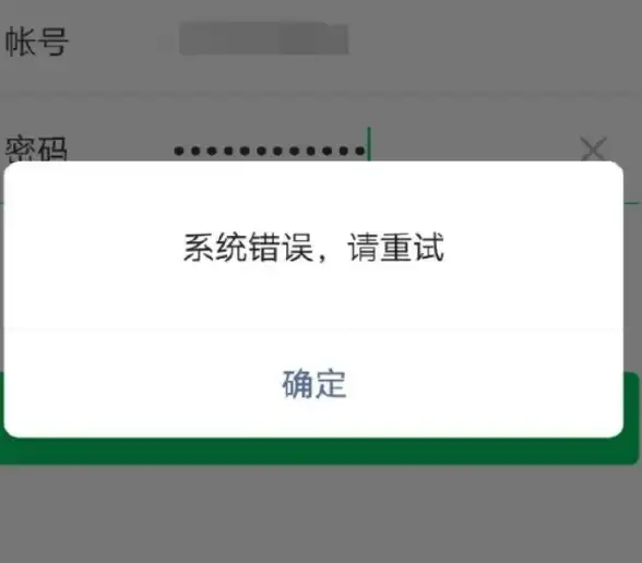 登录异常🚩无法登录系统时应如何排查与处理