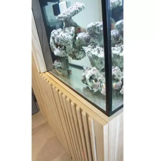 简洁高效的磁力搜索工具？飞木磁力让你轻松获取所需！