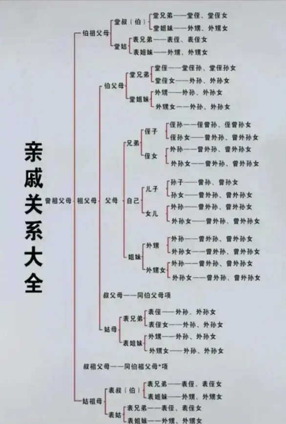 亲戚称呼太复杂？试试亲戚称呼器APP，一键查询，省时又省心！