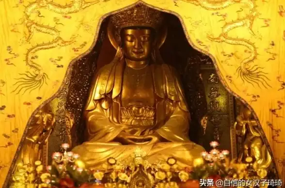 财富秘籍 新手必看 实战攻略 丰收之路》快速积累财富全解析