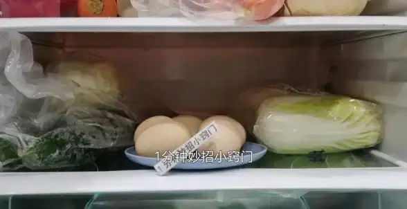 还在为健康管理烦恼？蛋壳健康app帮你轻松搞定饮食、身材与生活！