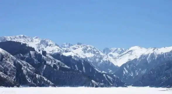 资源分享下载太麻烦？试试雪莲社区APP，轻松解决你的难题！